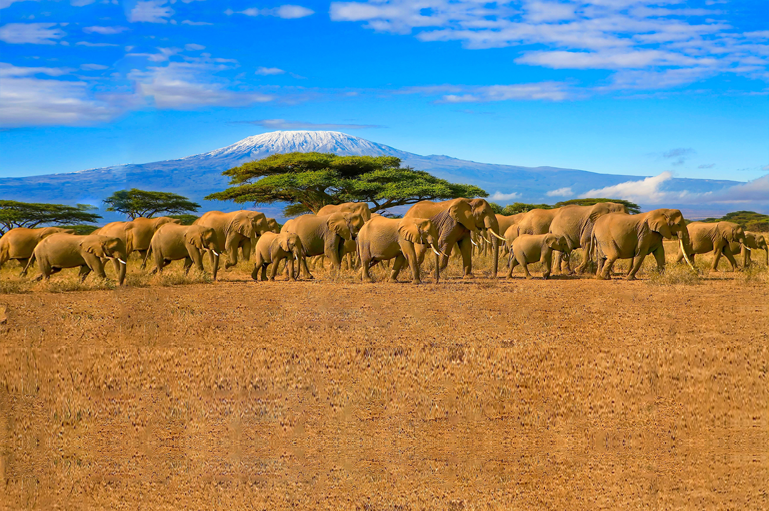 10 Days Tanzania Kilimanjaro Expedition