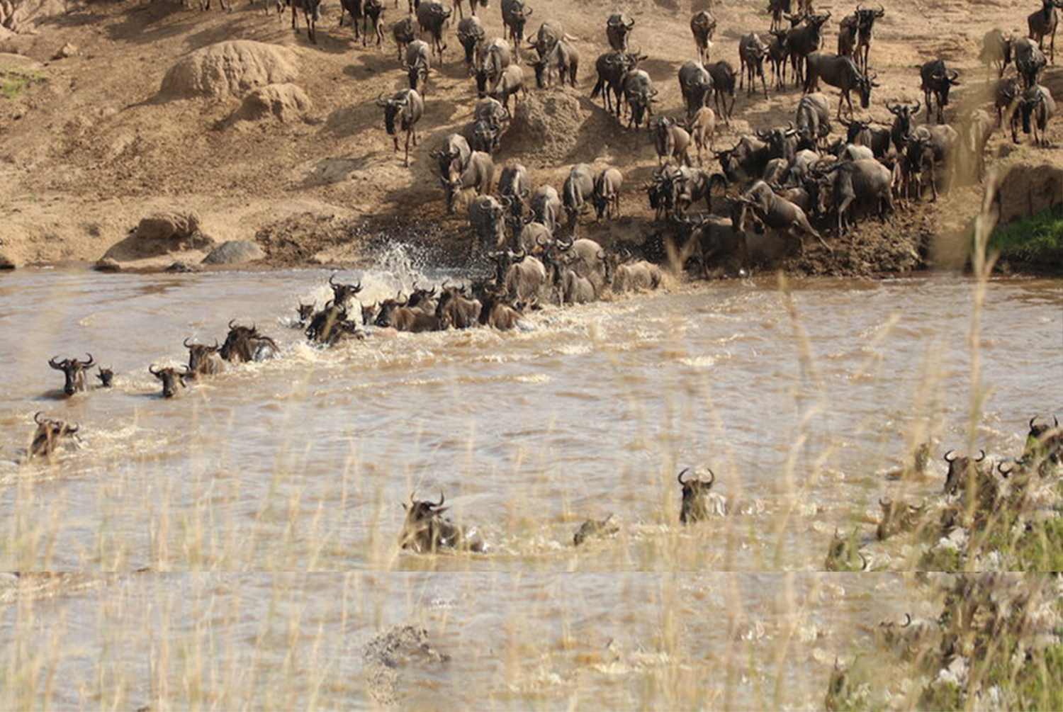 10 Days Tanzania’s Great Migration Safari