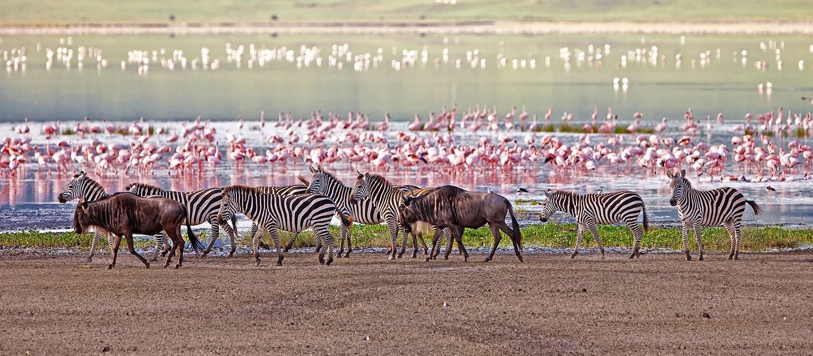 4 Days Kenyan Wildlife Extravaganza