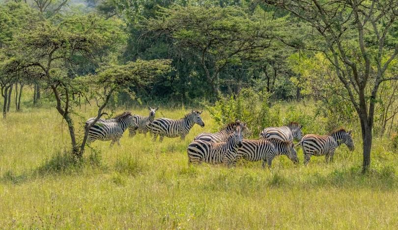 What you need to know about Lake Mburo